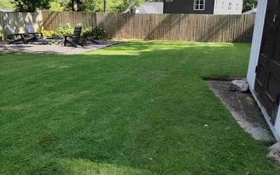 Photo of Keosha W.'s yard after getting lawn care in Atlanta, GA