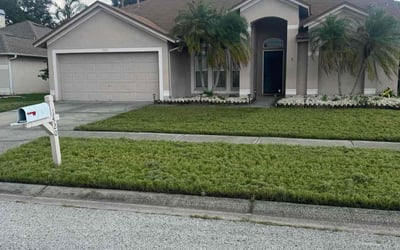 Photo of Sarah D.'s yard after getting lawn care in Palm Harbor, FL