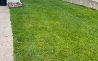 Photo of Deborah M.'s yard after getting lawn care in Jenison, MI