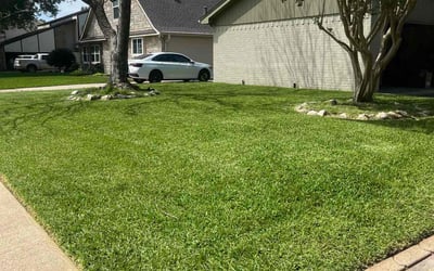 Photo of Roger P.'s yard after getting lawn care in Garfield, NJ