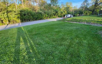 Photo of Joy B.'s yard after getting lawn care in Cleves, OH