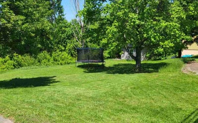 Photo of Emma S.'s yard after getting lawn care in New Kensington, PA