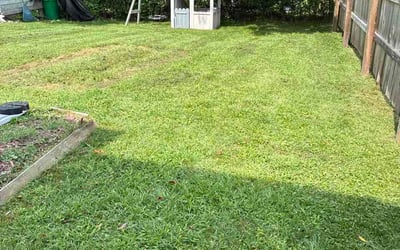 Photo of Ralph G.'s yard after getting lawn care in Antelope, CA