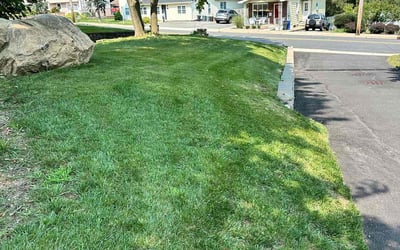 Photo of Justin R.'s yard after getting lawn care in Butler, NJ