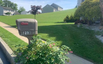 Photo of Lauren P.'s yard after getting lawn care in Douglassville, PA