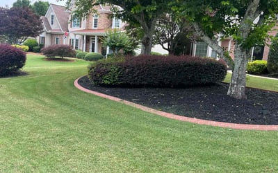 Photo of Mike H.'s yard after getting lawn care in San Diego, CA