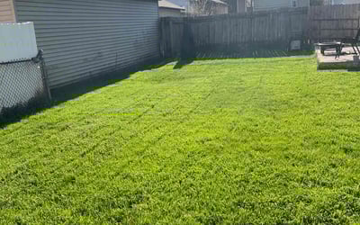 Photo of Clinton I.'s yard after getting lawn care in Wood Dale, IL