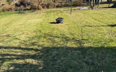 Photo of Will S.'s yard after getting lawn care in Beaver Falls, PA