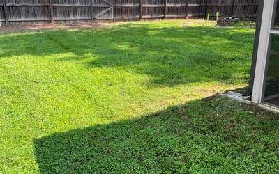 Photo of Lucia H.'s yard after getting lawn care in Youngsville, NC