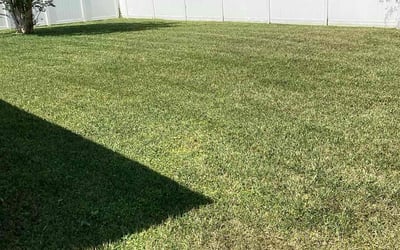 Photo of Frank V.'s yard after getting lawn care in Perth Amboy, NJ