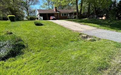 Photo of Jenny V.'s yard after getting lawn care in Bethesda, MD