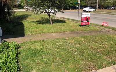 Photo of Keith A.'s yard after getting lawn care in San Rafael, CA