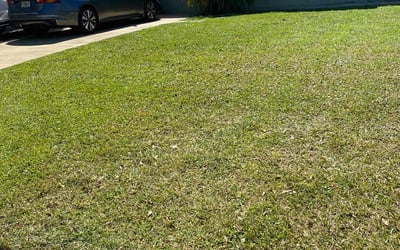 Photo of Daniel P.'s yard after getting lawn care in Easthampton, MA