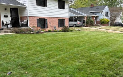 Photo of Ian S.'s yard after getting lawn care in Beltsville, MD