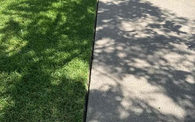 Photo of A D.'s yard after getting lawn care in Streamwood, IL