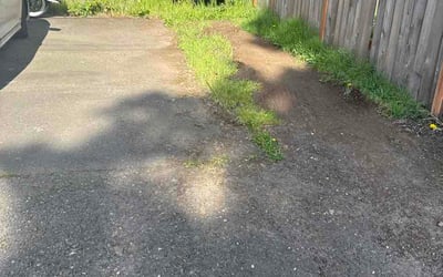 Photo of Kathy S.'s yard after getting lawn care in Campbell, CA