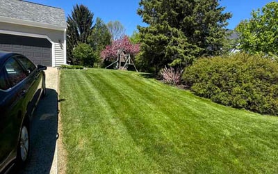Photo of Debra W.'s yard after getting lawn care in Spotsylvania, VA