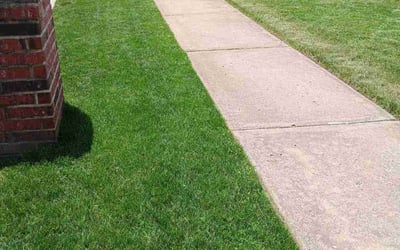 Photo of Nicole Y.'s yard after getting lawn care in Jenks, OK