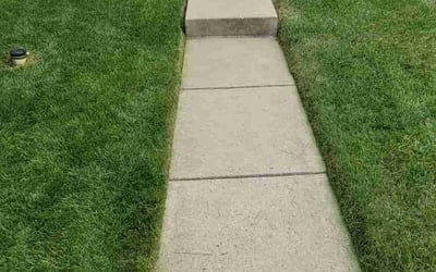 Photo of Mitch H.'s yard after getting lawn care in West Columbia, SC
