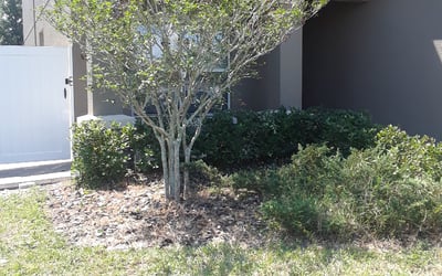 Photo of Andrea C.'s yard after getting tree care in Rockford, IL