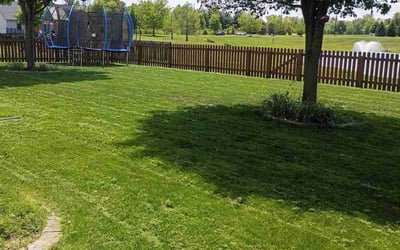 Photo of Sara B.'s yard after getting lawn care in Plainfield, IN