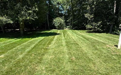 Photo of David K.'s yard after getting lawn care in Tallahassee, FL