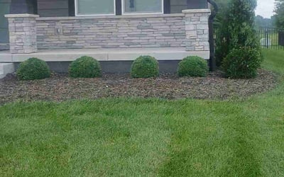Photo of Alexa B.'s yard after getting lawn care in Palmetto, FL