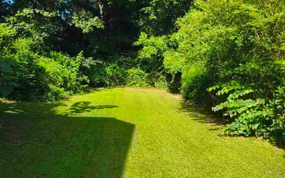 Photo of Myra W.'s yard after getting lawn care in East Falmouth, MA