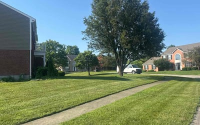 Photo of Tim H.'s yard after getting lawn care in Fitchburg, MA