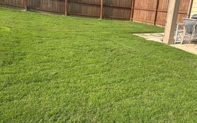 Photo of Nathan C.'s yard after getting lawn care in Santa Clarita, CA