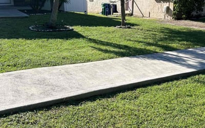 Photo of Angela p.'s yard after getting lawn care in East Elmhurst, NY