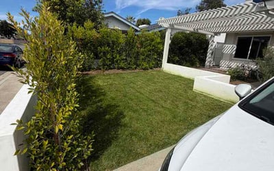 Photo of Shantell G.'s yard after getting lawn care in Marysville, CA