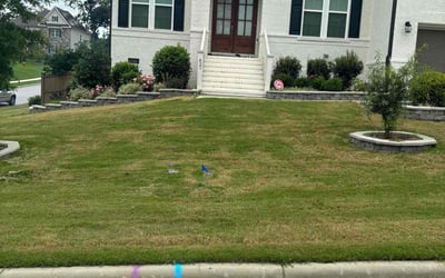 Photo of Shaun C.'s yard after getting lawn care in McKinney, TX