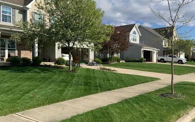 Photo of Raquel Q.'s yard after getting lawn care in Apopka, FL