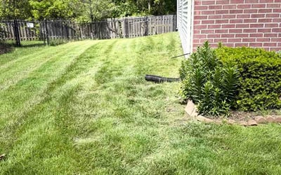 Photo of Hanjie Y.'s yard after getting lawn care in Roseville, MN