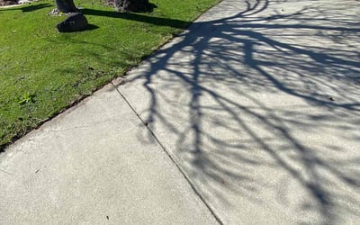 Photo of Patti G.'s yard after getting lawn care in Concord, CA