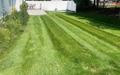 Photo of Jeryth P.'s yard after getting lawn care in Monroe, GA