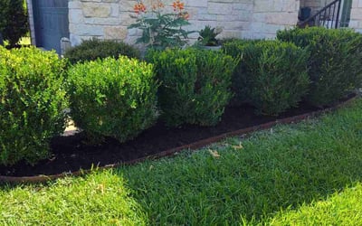 Photo of Randy G.'s yard after getting lawn care in Pasadena, TX