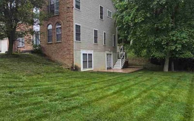 Photo of Jeremy S.'s yard after getting lawn care in Charles Town, WV