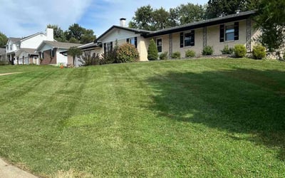 Photo of Mark A.'s yard after getting lawn care in Bellefontaine Neighbors, MO
