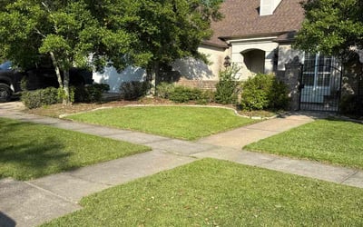 Photo of Gary S.'s yard after getting lawn care in Merced, CA