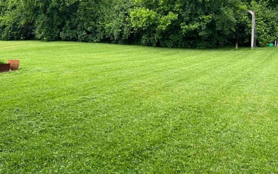 Photo of Jennifer M.'s yard after getting lawn care in Norwood, OH