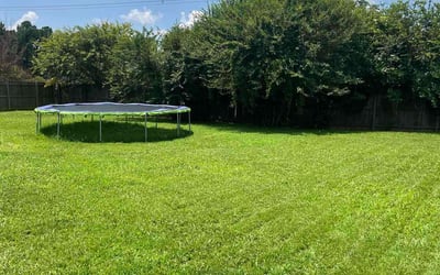 Photo of Lou C.'s yard after getting lawn care in Memphis, TN
