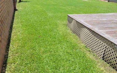 Photo of Mike P.'s yard after getting lawn care in Maspeth, NY