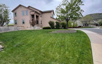 Photo of Matt N.'s yard after getting lawn care in Littleton, CO