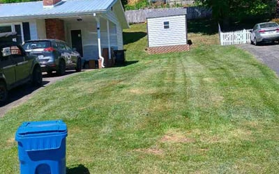 Photo of Sarah C.'s yard after getting lawn care in Dewitt, MI