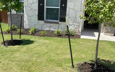 Photo of Elizabeth S.'s yard after getting lawn care in Thornton, CO