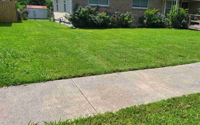 Photo of Alexis L.'s yard after getting lawn care in Greenville, TX