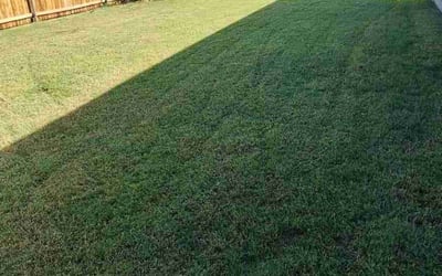 Photo of Sadie L.'s yard after getting lawn care in Balch Springs, TX