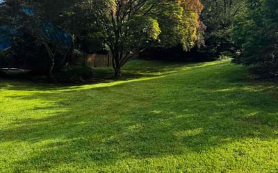 Photo of Kathy V.'s yard after getting lawn care in Brooklyn Park, MD